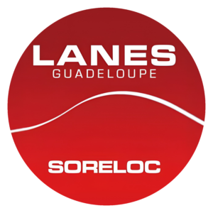Accueil professionnel logo soreloc